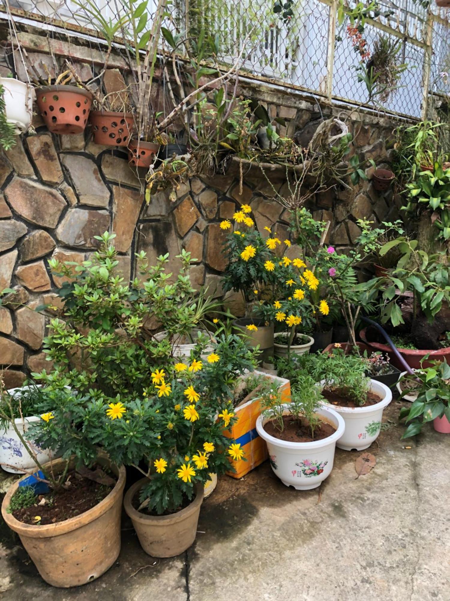 Phuong Hong Guesthouse Da Lat Dış mekan fotoğraf